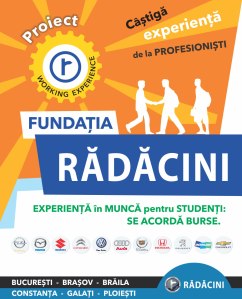 Experienta-in-munca-Radacini