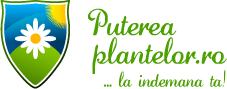 puterea_plantelor_logo